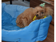 DSC_0131.jpg