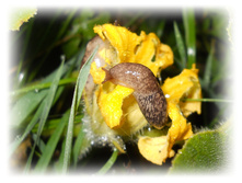 DSCN6313.JPG