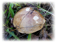 DSCN6325.JPG