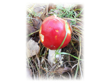 DSCN6330.JPG