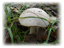 DSCN6373.JPG