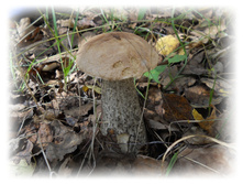 DSCN6388.JPG