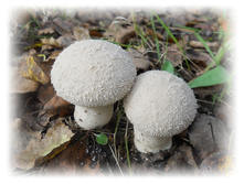DSCN6396.JPG