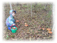 DSCN6411.JPG