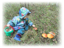 DSCN6417.JPG