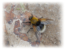 DSCN6427.JPG