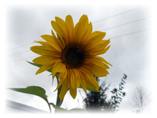 DSCN6433.JPG