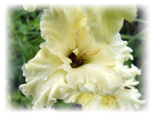 DSCN6438.JPG