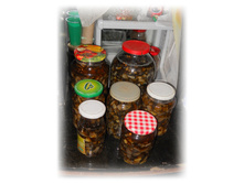 DSCN6451.JPG