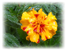 DSCN6461.JPG