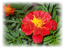 DSCN6462.JPG