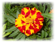 DSCN6464.JPG