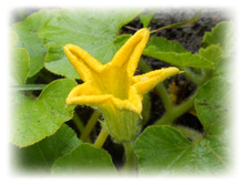 DSCN6478.JPG