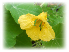 DSCN6496.JPG