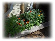DSCN6512.JPG