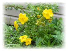 DSCN6519.JPG