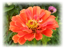 DSCN6521.JPG