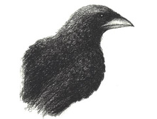 23.06.2008 2:19:44