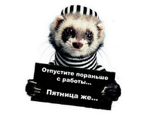 23.06.2008 14:52:35
