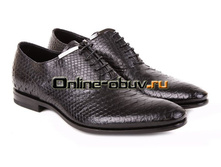 �07**03 ����� ��� FA*BI  �/� 2012  