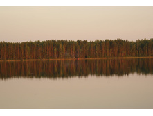 30.06.2010 11:27:46