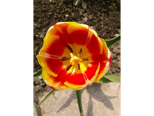20120508_120028.jpg