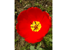 20120508_120042.jpg