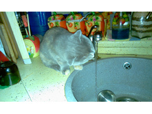 30.06.2010 15:04:42