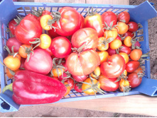 20120812_173024.jpg