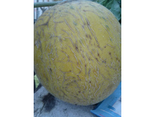 20120901_163414.jpg