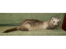��� � �����!