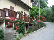 26.06.2008 16:05:41