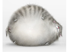 miaiaiapap.jpg