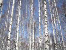 DSCF6072.JPG