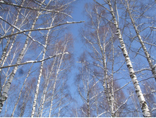 DSCF6074.JPG