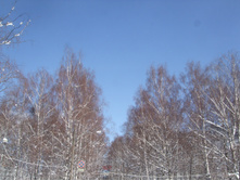 DSCF6076.JPG
