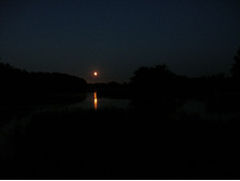 03.07.2010 13:59:22