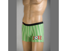 BOXERS CHEMPIONS \"BOLL-2012\" green  �-�  M L XL  ���� 222���