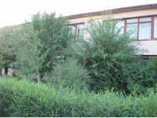 06.07.2008 21:23:18