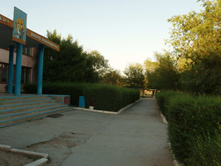 06.07.2008 21:23:24
