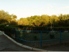 06.07.2008 21:23:46