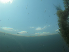 08.07.2008 2:52:47
