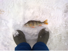 10032012116.jpg