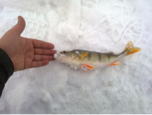10032012117.jpg