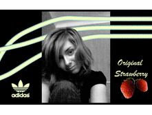 Adidas Originals Work by JED #5