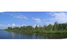 18.07.2008 13:51:58