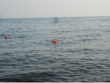 P8090089 (2).JPG