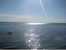 21.07.2008 15:47:01