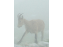 24.07.2008 13:51:59