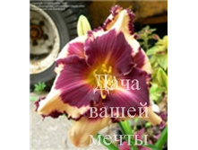 Sabine Bauer 115�..jpg